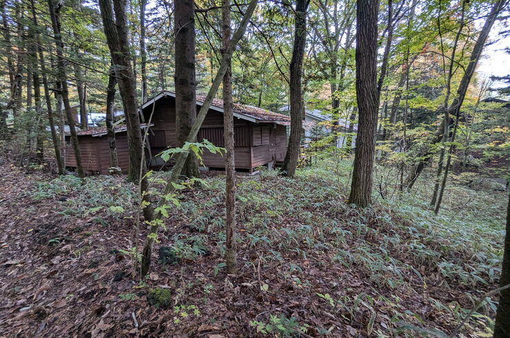PXL_20241029_031103627